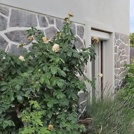 Apartament Grand Avec Jardin Et Entree Privative A Noter Reservations De 3 Nuits Minimum Clermont-Ferrand