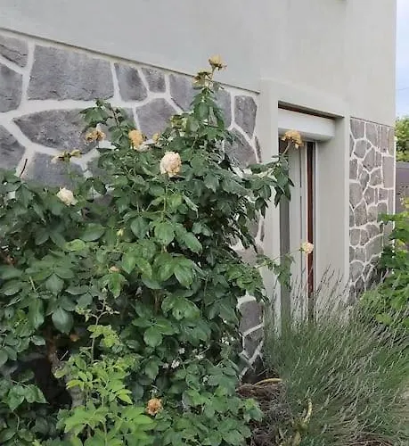 アパート Grand Avec Jardin Et Entree Privative A Noter Reservations De 3 Nuits Minimum クレルモン・フェラン